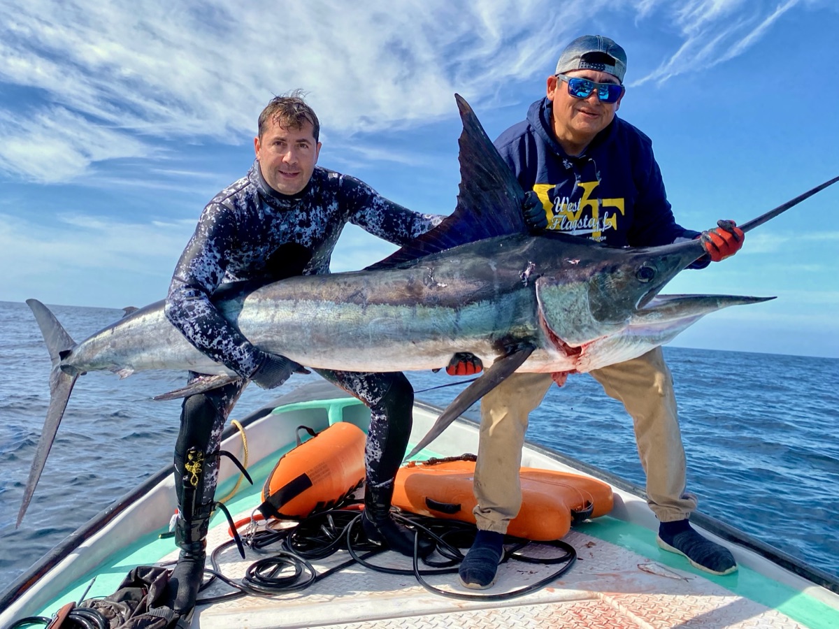 210 lbs striped marlin caught in Southern Baja