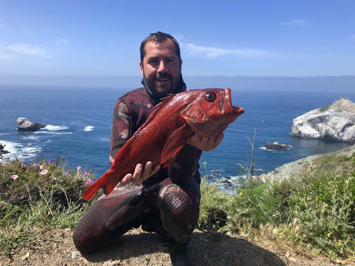 Vermillion rockfish caught in Big Sur